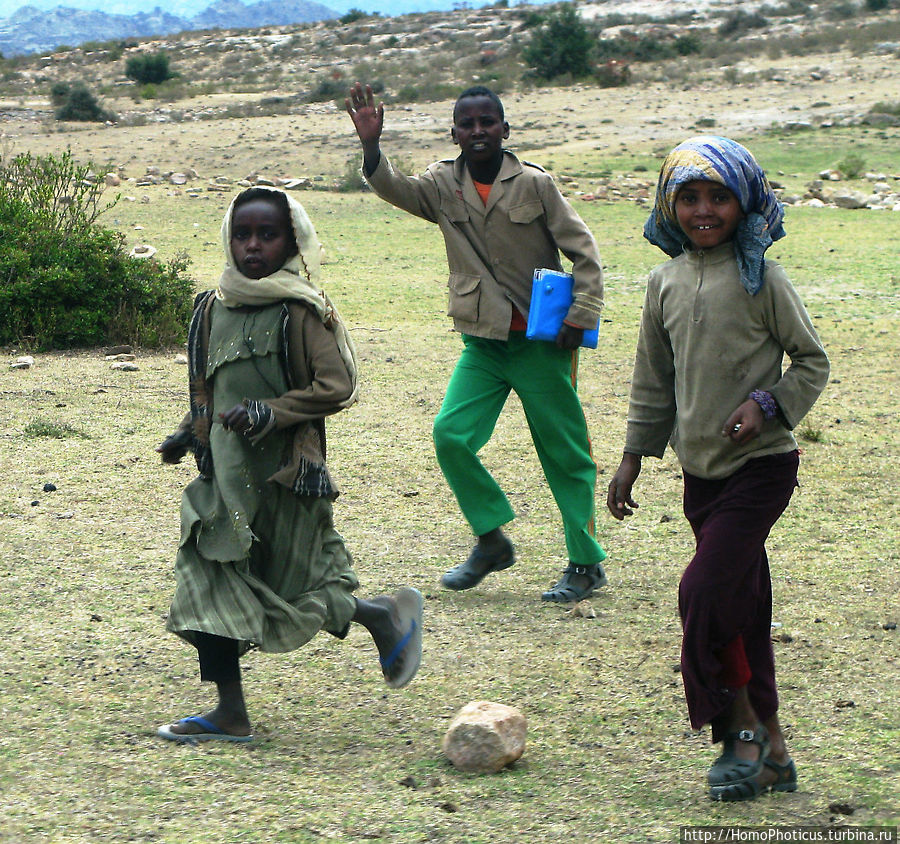Эритрейцы Эритрея