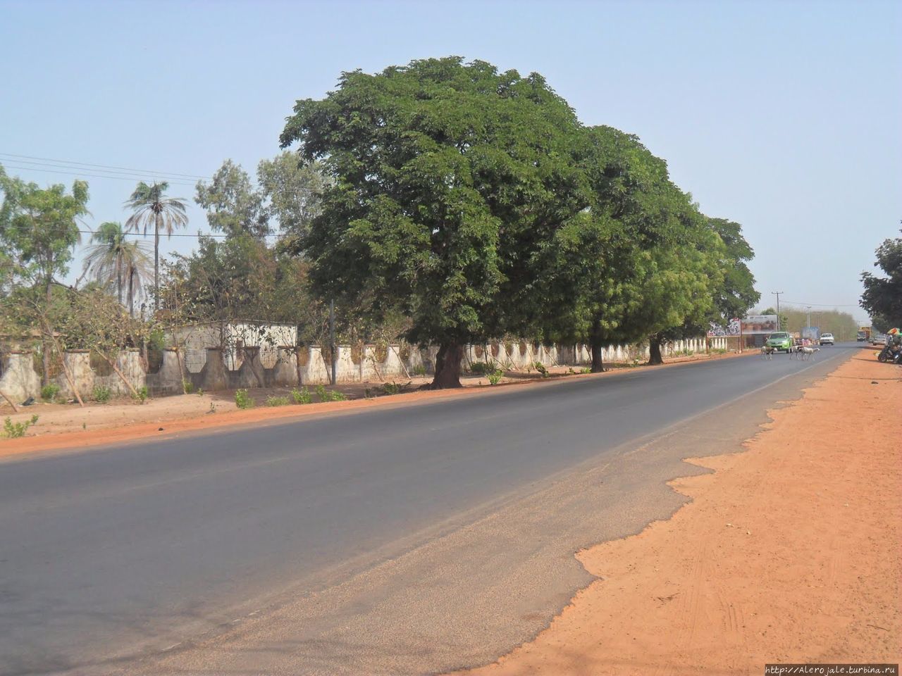 Бамбоо Гарден Кололи, Гамбия