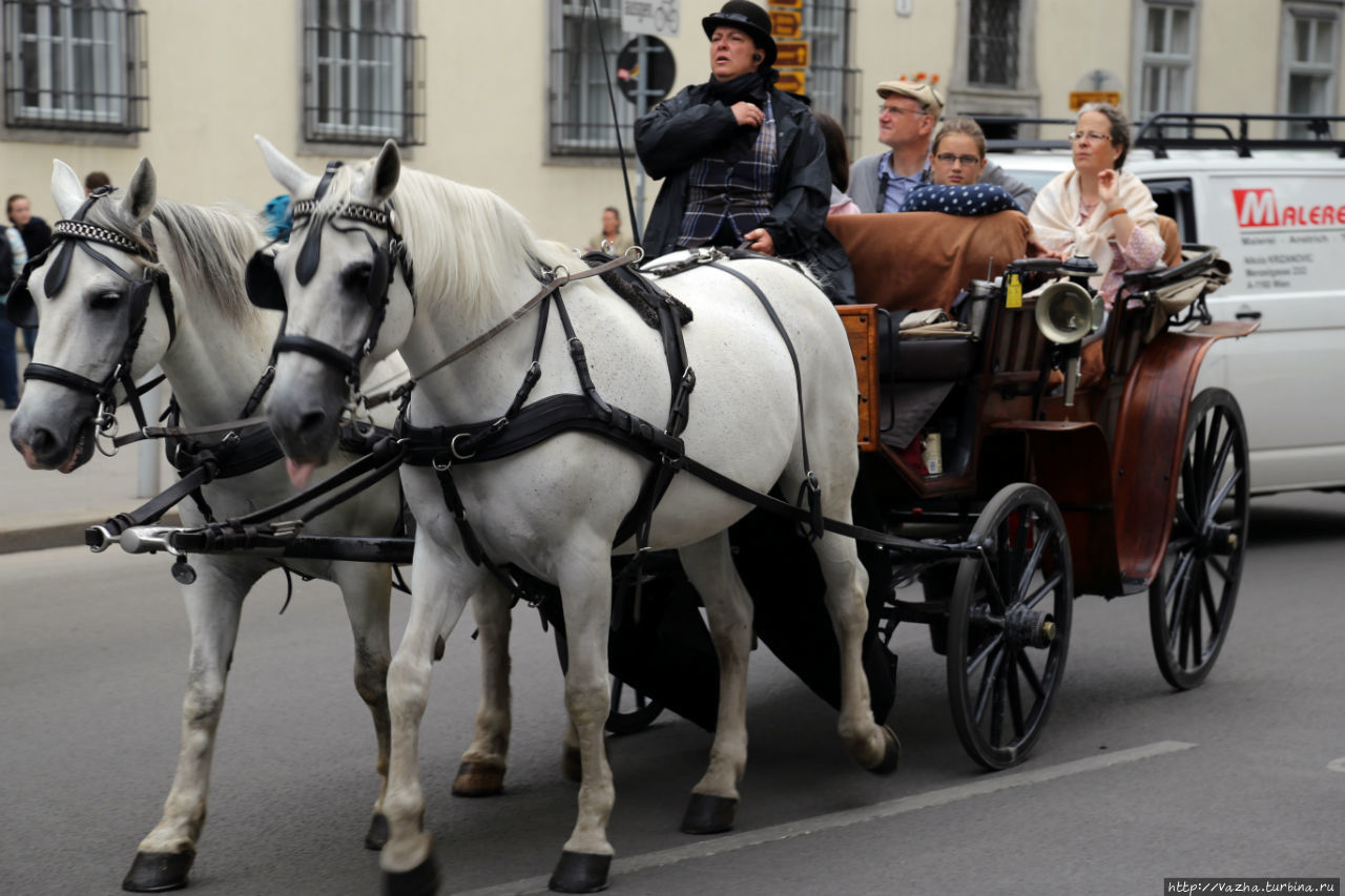 Вена 2015 года Вена, Австрия