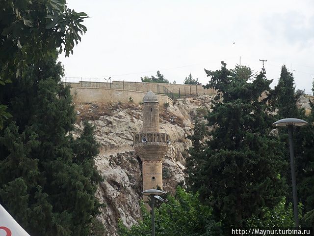 Увидеть белого карпа Шанлыурфа, Турция