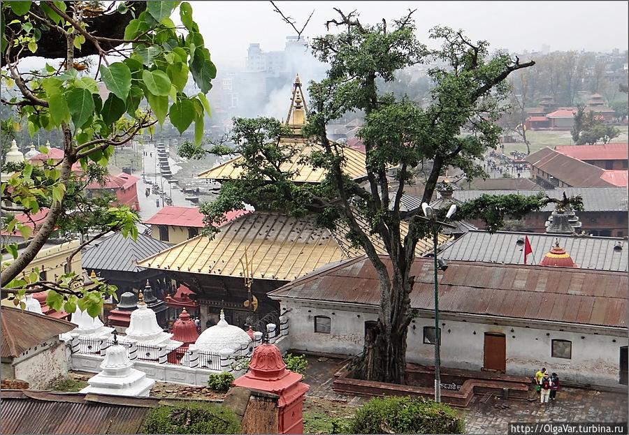 Храм Пашупатинатх с медной крышей Катманду, Непал