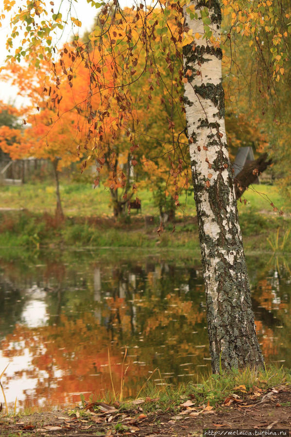 Осенне-сентиментальное... Латвия