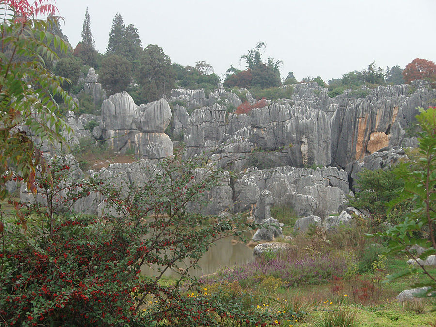 Осень в Каменном лесу Куньмин, Китай