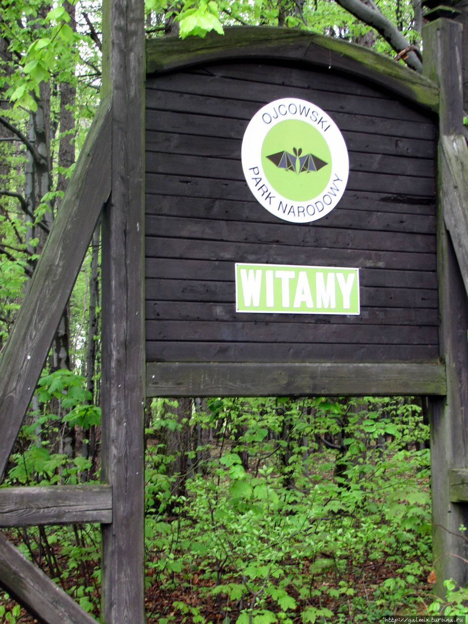 Прогулка по Ойцовскому парку. Краков, Польша