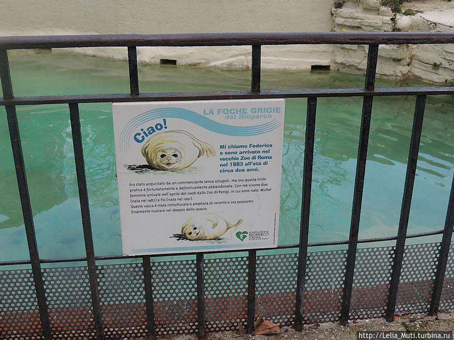 Zoo Roma Рим, Италия