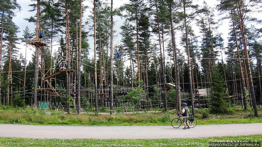 Верёвочный ПАРК ПРИКЛЮЧЕНИЙ KORKEE PALOHEINÄ (Adventure Park Хельсинки, Финляндия