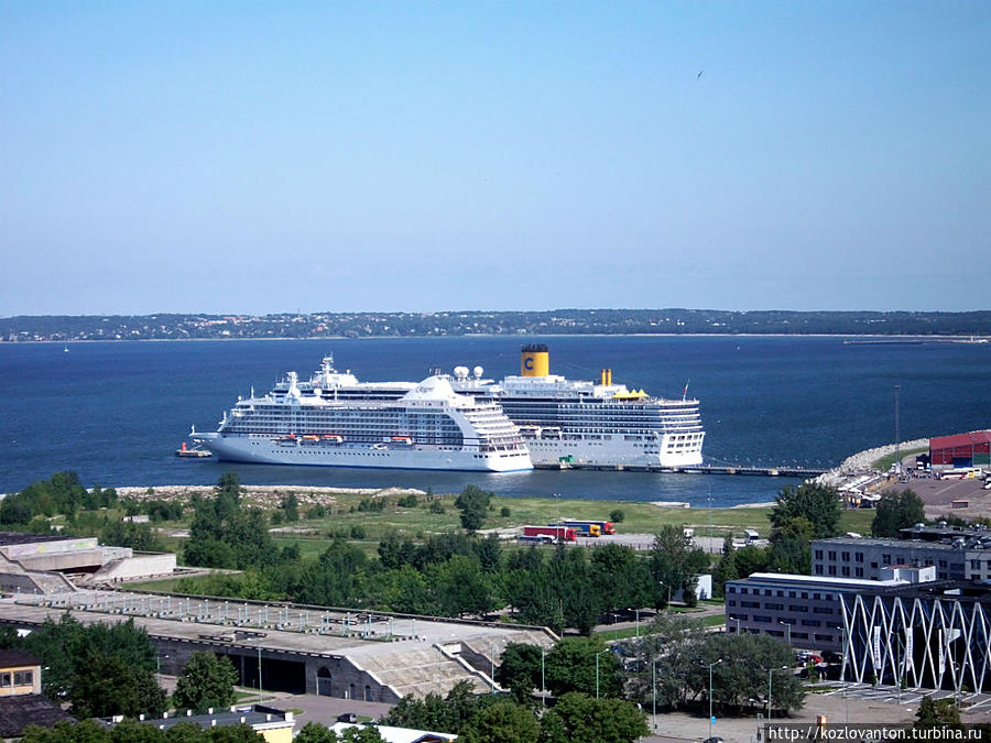 Морской порт, откуда для многих начинается знакомство с Таллинном. Таллин, Эстония