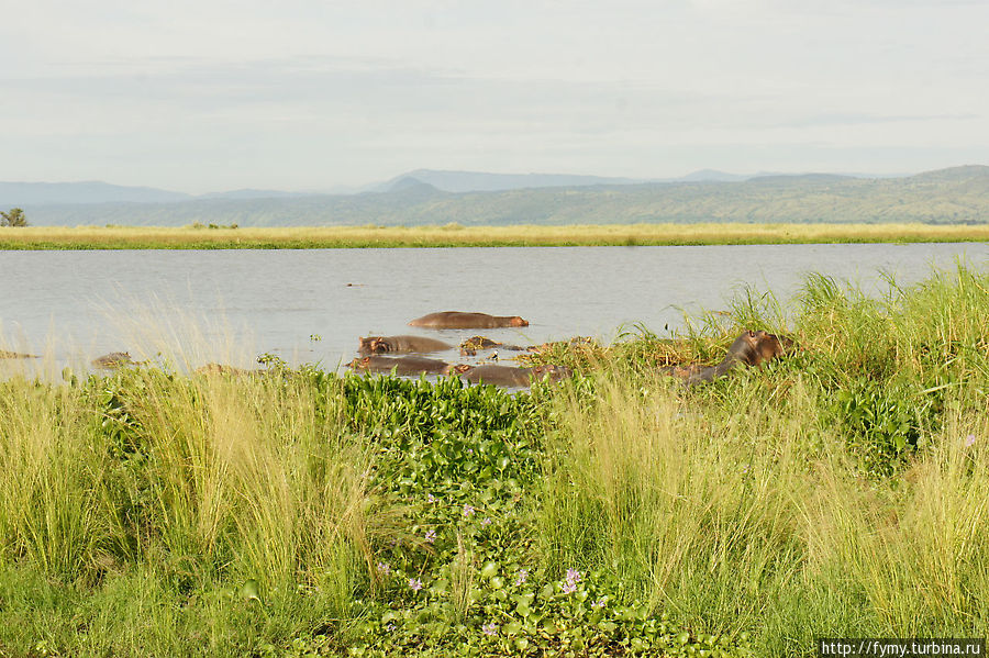 От Кампалы на север Уганда