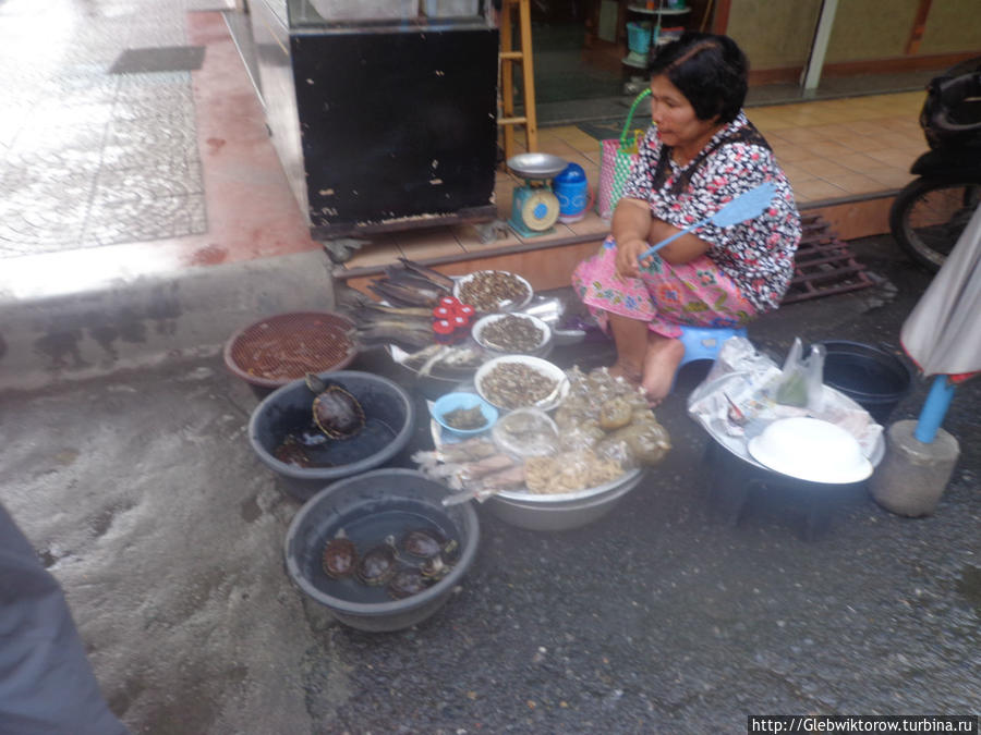 Продавцы черепах Накхон-Си-Таммарат, Таиланд