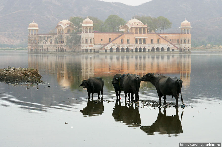 работы Андрея Саликова,
ephemeral and real.Rajasthan.Индия.India.Beautiful water reflections. Джайпур Рига, Латвия