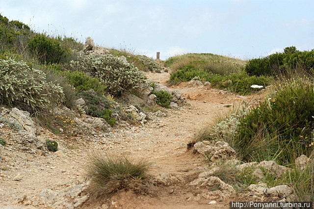 Менорка. Поход по старой конной дороге — Ками де Каваллис Остров Менорка, Испания