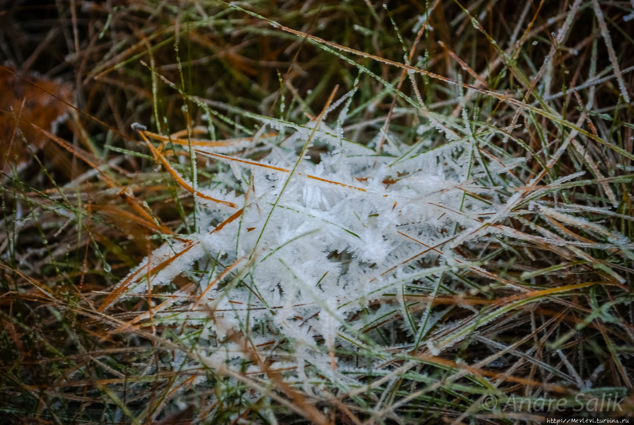 Изморозь Рига, Латвия