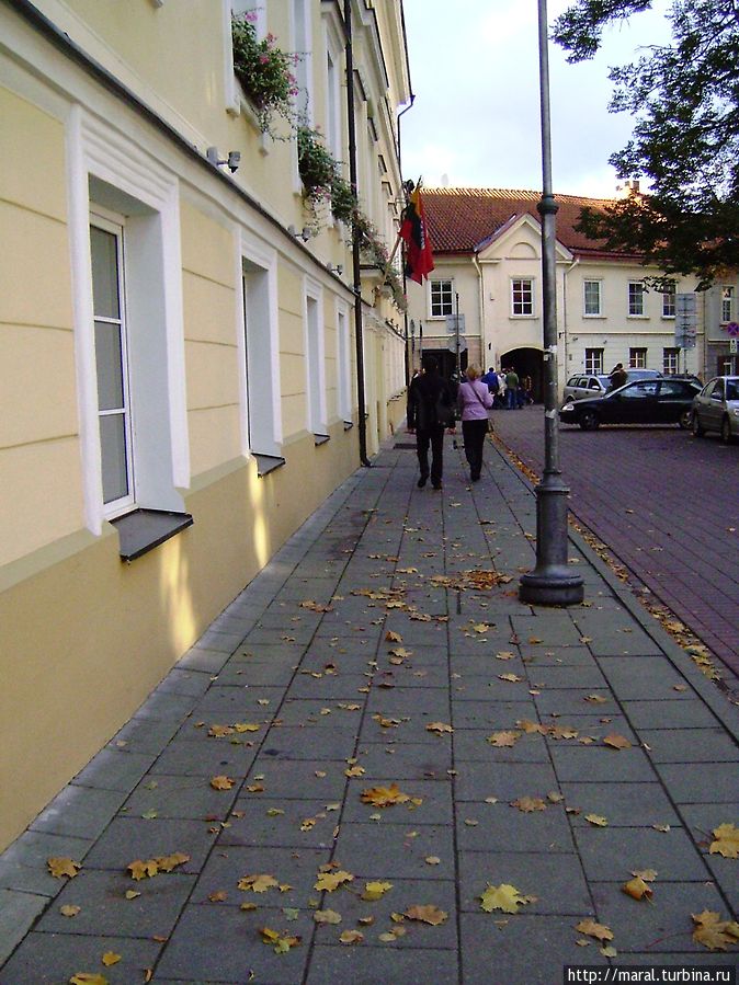 Куда ведёт дорожка из осенней листвы? Вильнюс, Литва