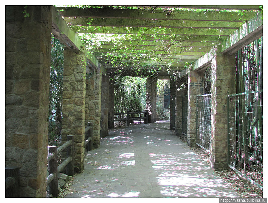 Зоопарк Шанхая Шанхай, Китай