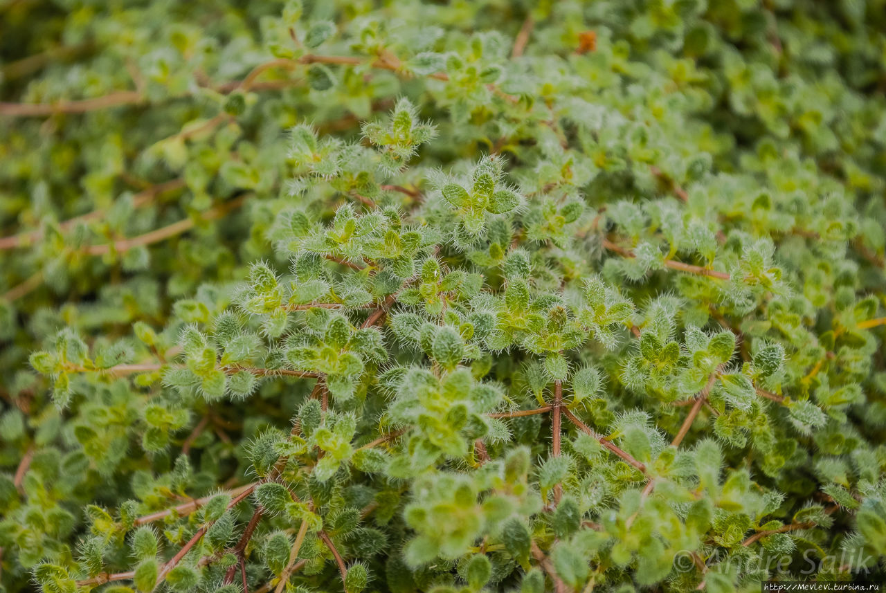 Пасмурное лондонское утро Лондон, Великобритания