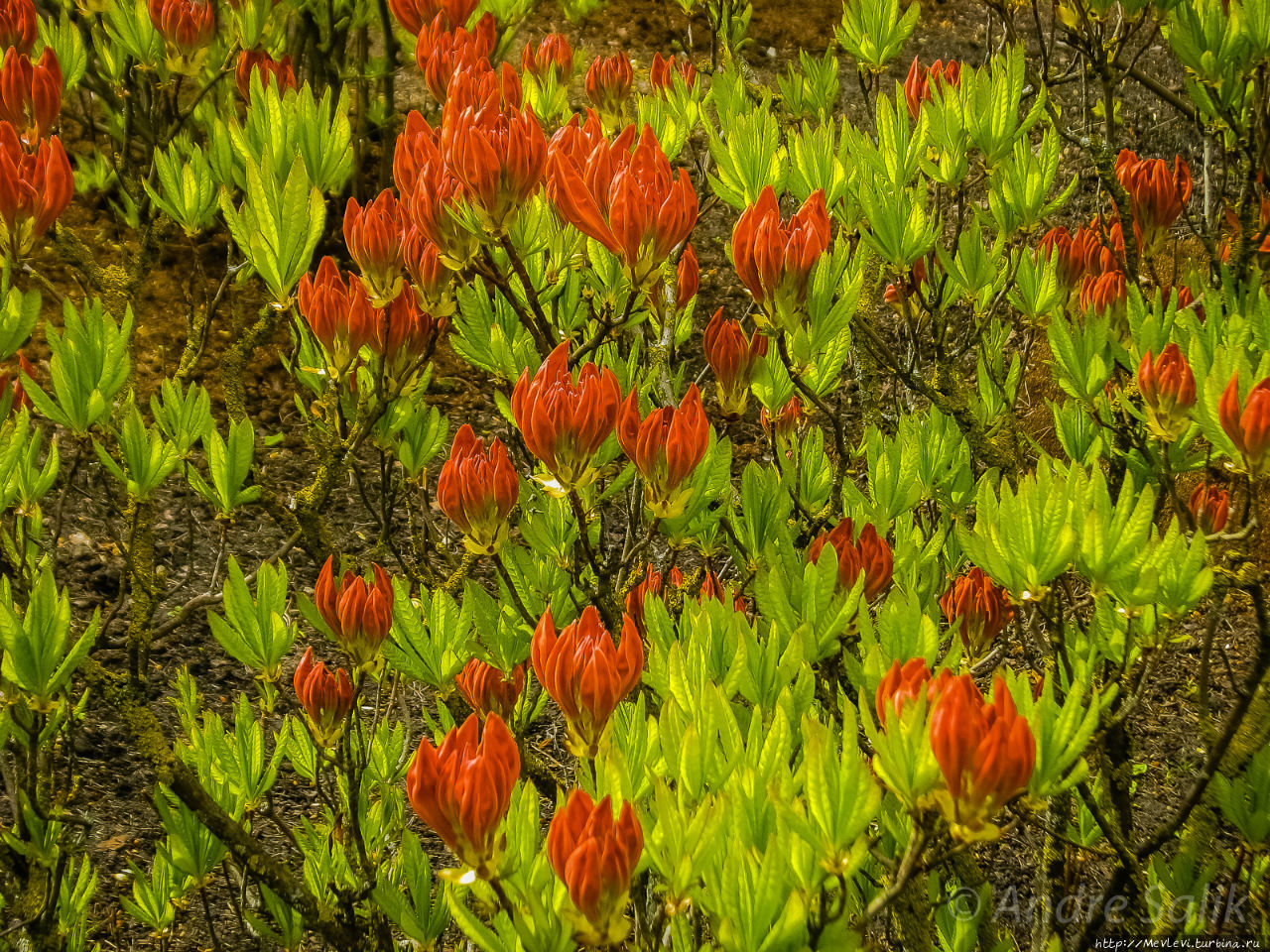 Весенние фотографии из Риги Рига, Латвия