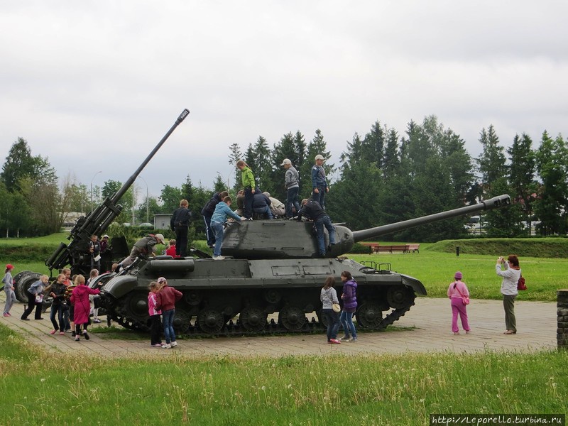 Буйничи — танки, зубры и узкоколейка Могилев, Беларусь