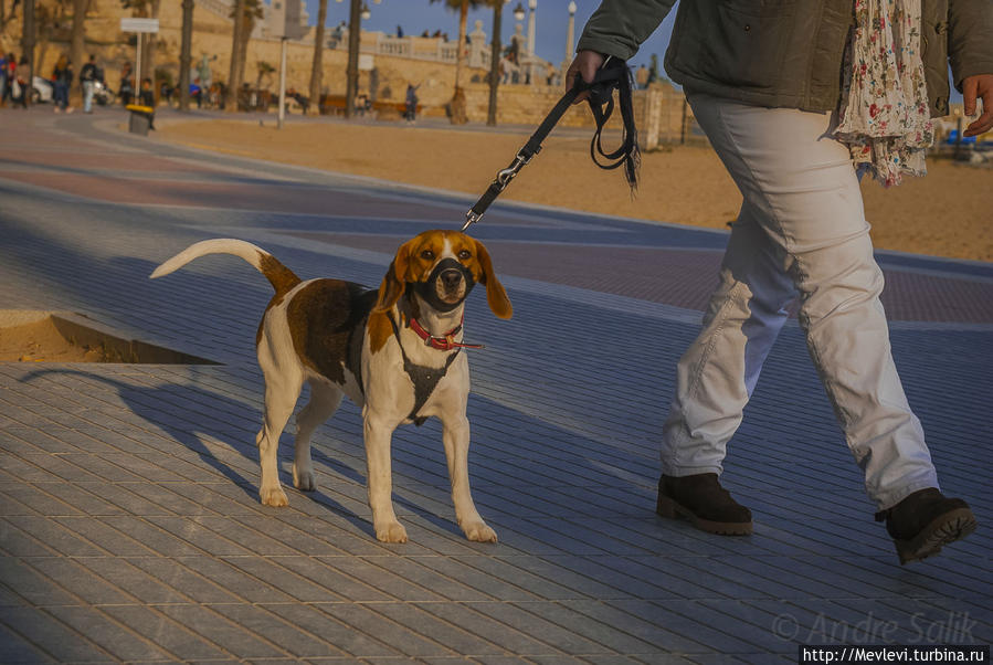 Вечерний Ситжес Ситжес, Испания