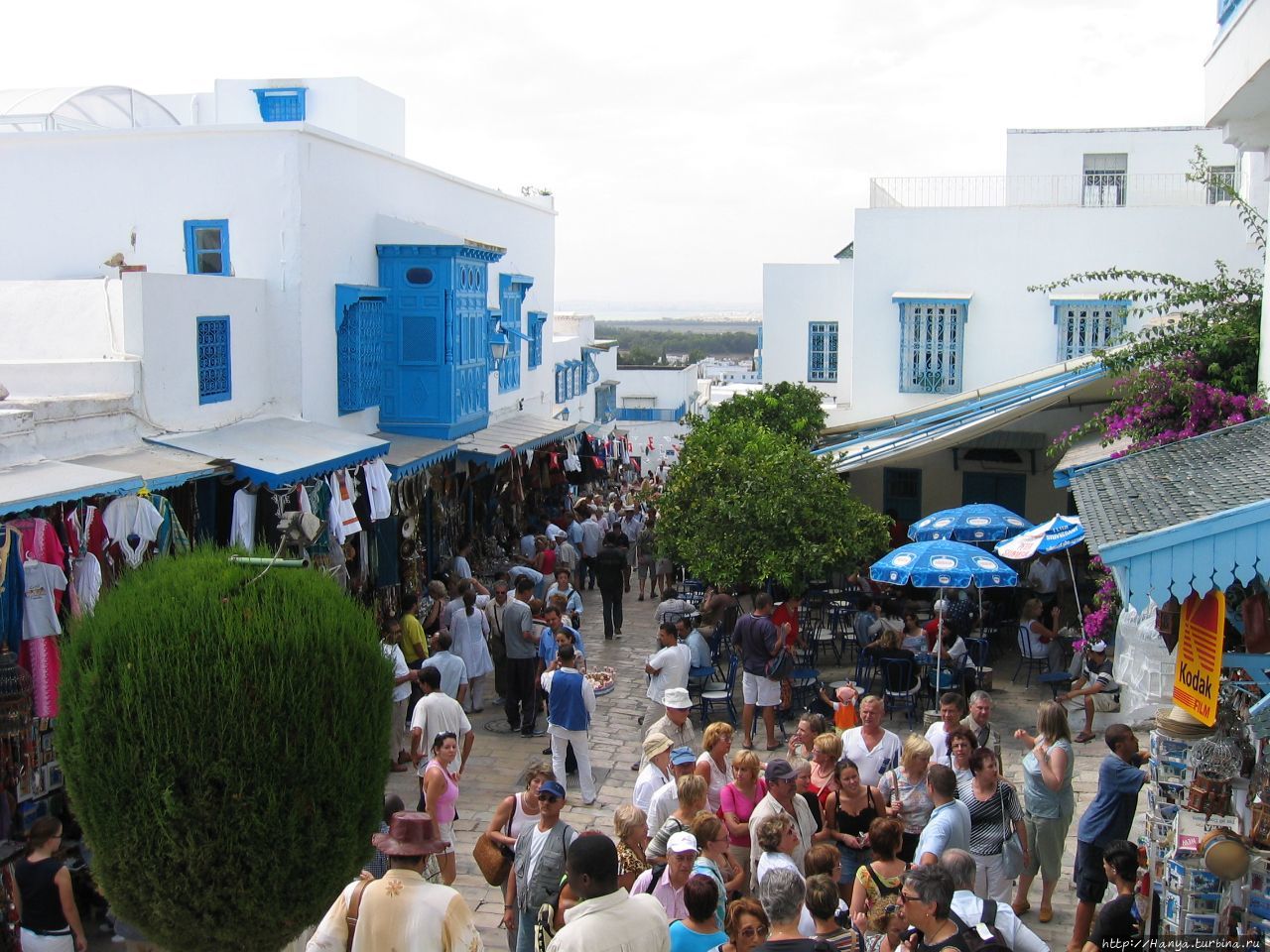 Сиди-бу-Саид — бело-голубой город Сусс, Тунис