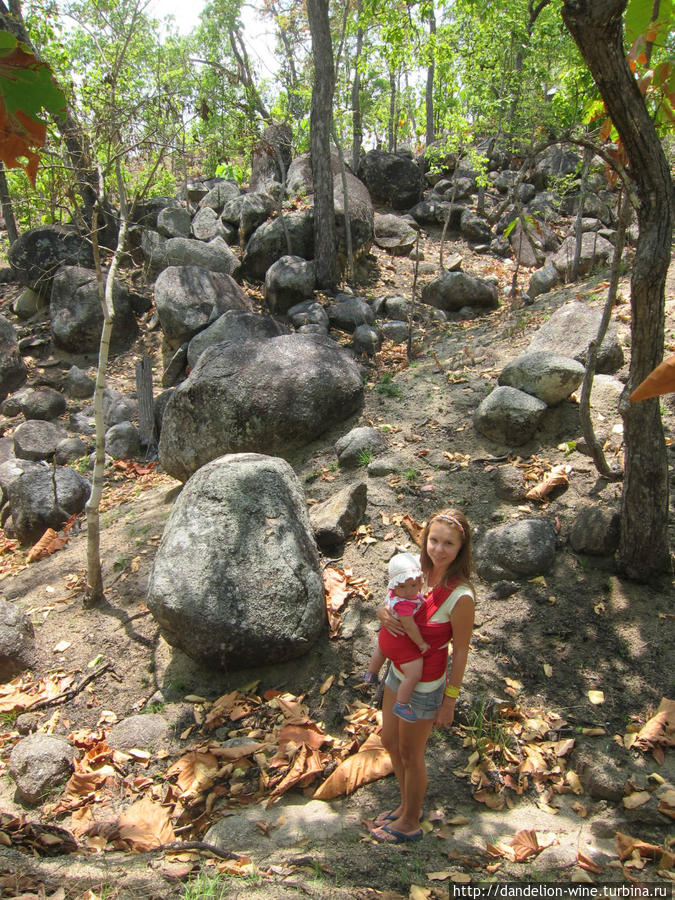 Каменный лес / Stone Forest