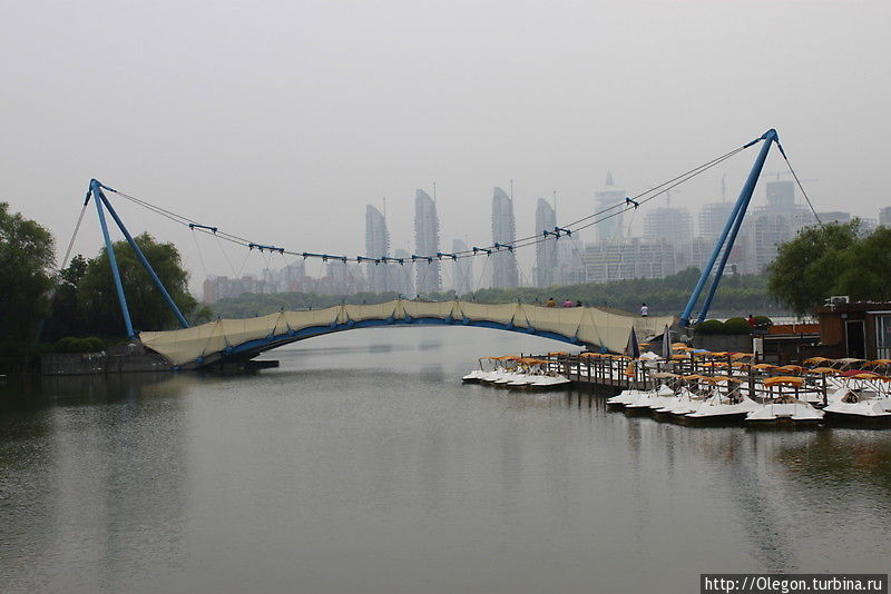 Мост через реку Шанхай, Китай