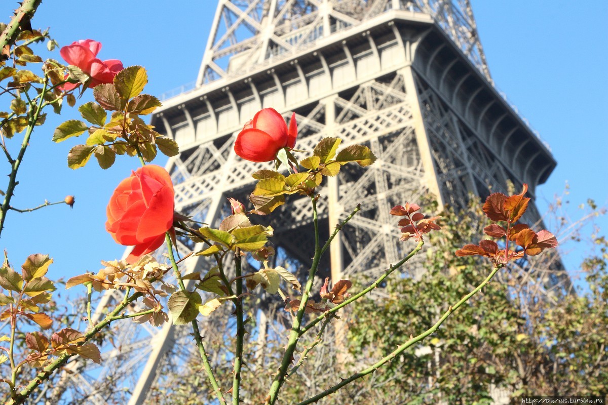 Париж — Эйфелева башня Париж, Франция