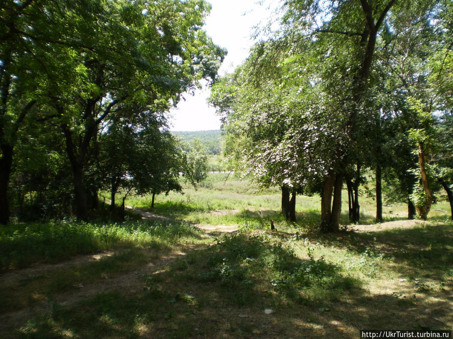 Родовое поместье Курисов Петровка, Украина