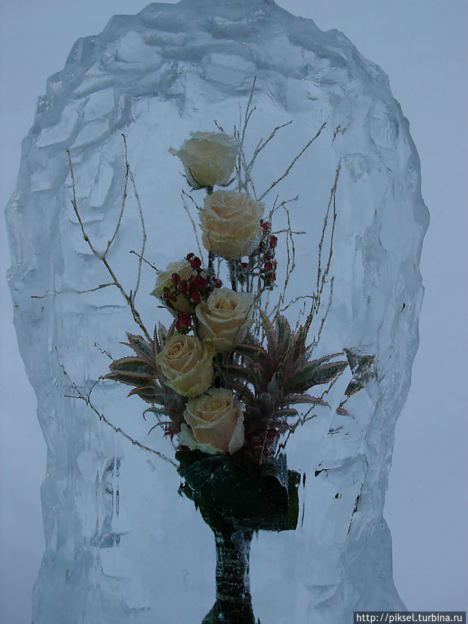 Цветы от Снежной королевы Киев, Украина