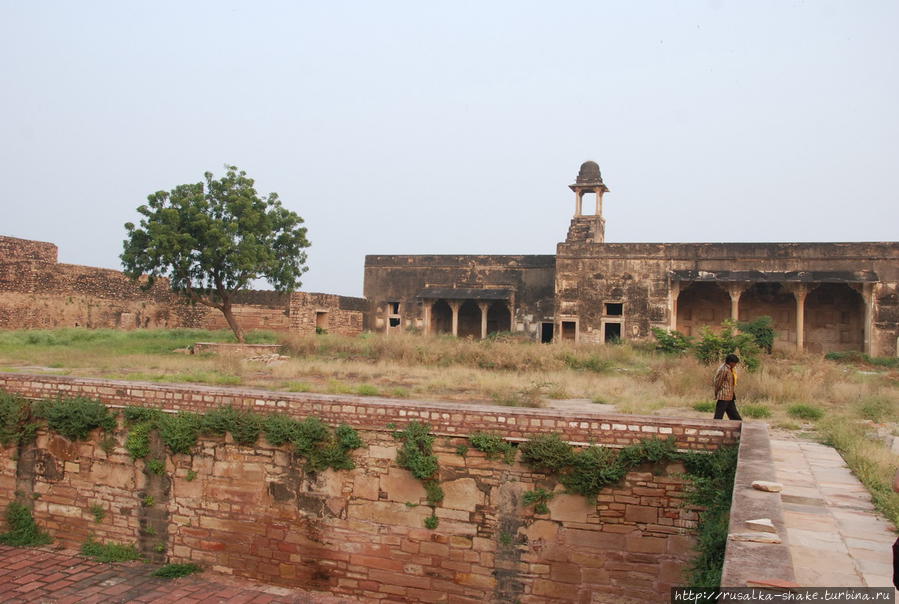 Внутри форта Гвалиора Гвалиор, Индия
