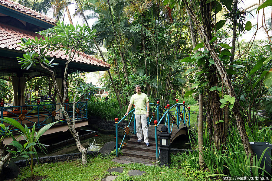 Парк отеля Melia Purosani 5*. Джокьякарта.