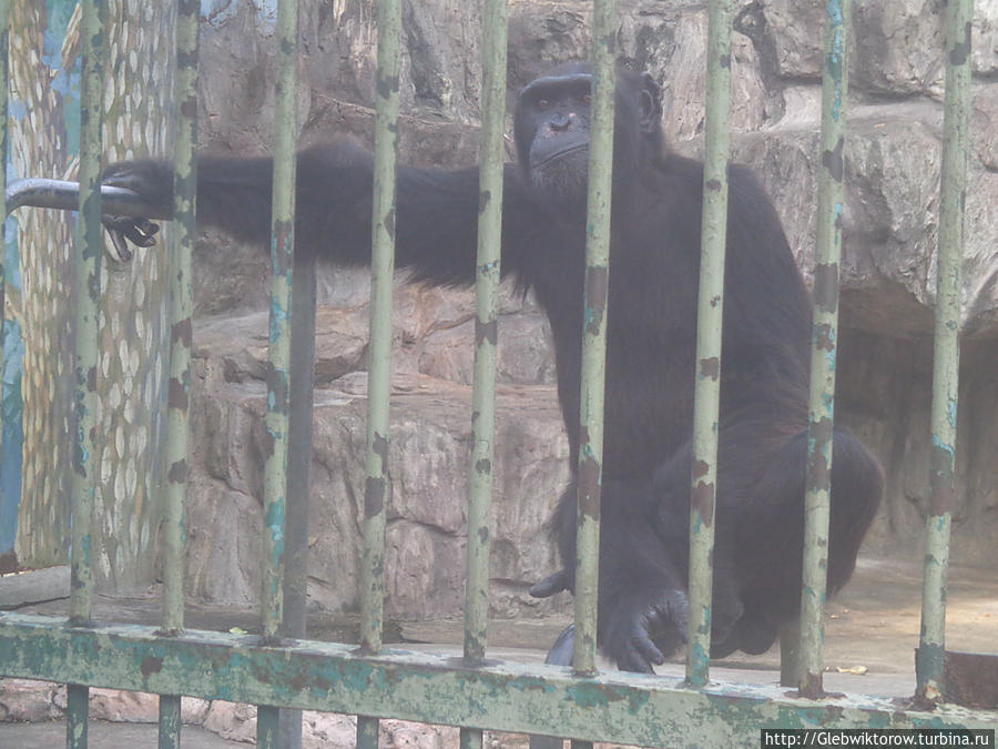 Самут-Пракан. Зоопарк Самут-Пракан, Таиланд