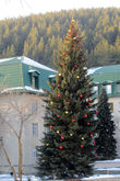 Новогодняя ёлка у санатория Алтай-West.