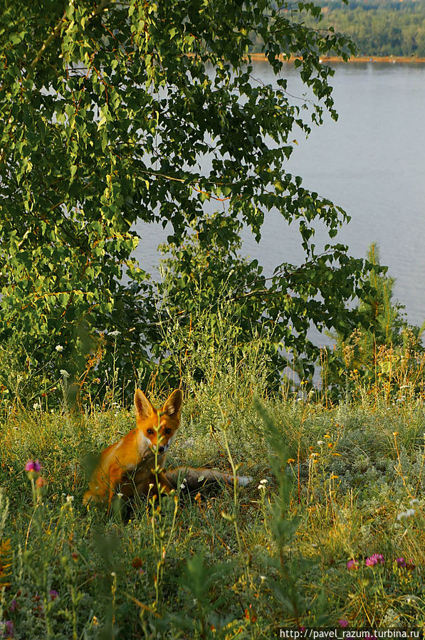 Евразия-2012 (7) — Великолепие и мистика Самарской Луки Самара, Россия