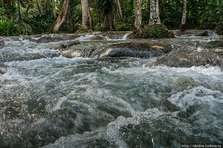 Подъем по водопаду Dunn`s River. Мы сделали это!