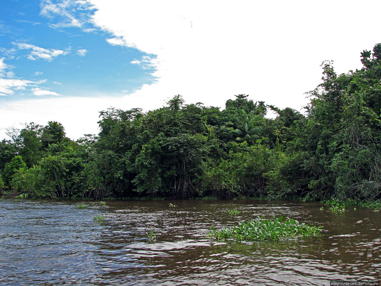 Пик ориноко. Венесуэла плато тепуи. Водопад сальто анхель венесуэла. Самый высокий водопад в мире: анхель, венесуэла. Парк канайма южная америка.