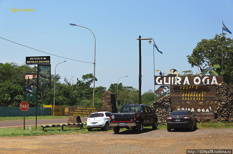 Гуира Ога, место, где выхаживают животных Пуэрто-Игуасу, Аргентина
