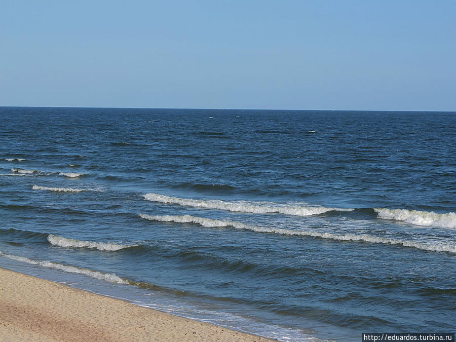 А по-утрам они купались))) Светлогорский пляж ранним утром Калининградская область, Россия