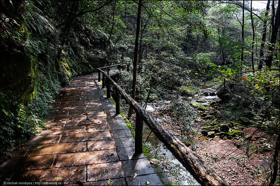 Загадочный парк Аватар (Улинъюань) Чжанцзяцзе Национальный Лесной Парк (Парк Аватар), Китай
