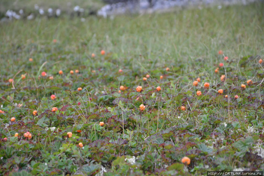 Чтобы помнили Мурманская область, Россия