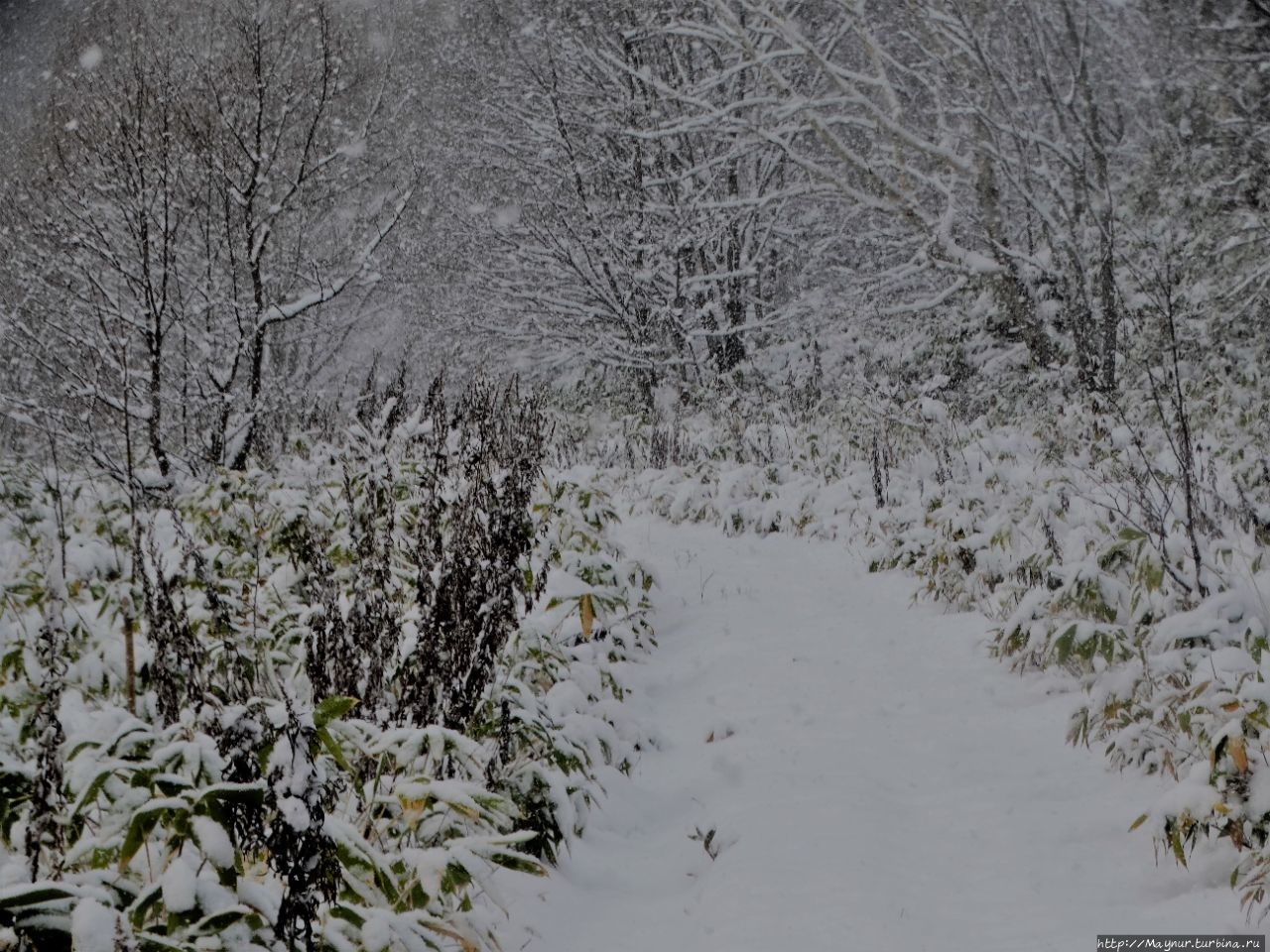 Грязевой вулкан и заброшенная ж/д Южно-Сахалинск, Россия Грязевой вулкан и заброшенная ж/д Южно-Сахалинск, Россия