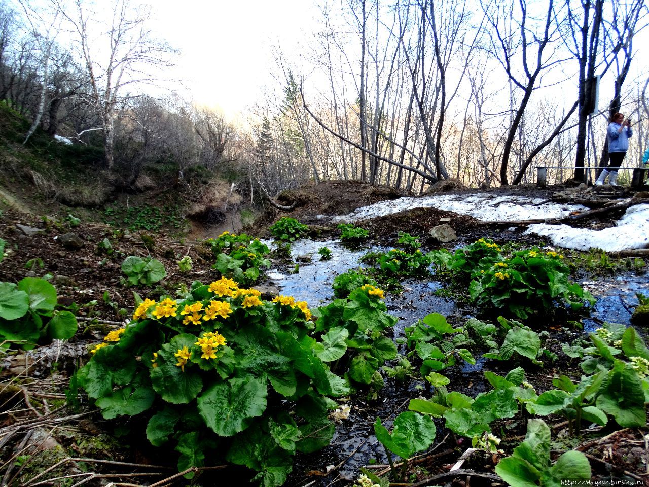 Бегущая  по  волнам... Клоковский водопад, Россия