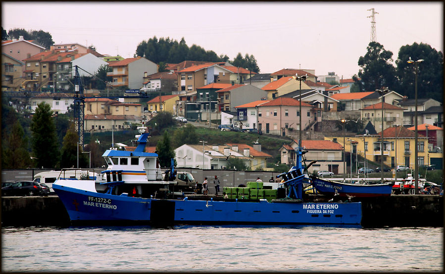 Круиз по реке Дору или два города по цене одного Вила-Нова-де-Гайа, Португалия