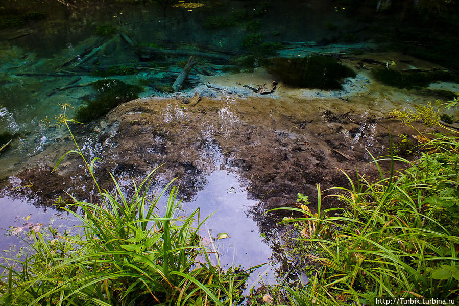 У подножья Кленовой горы Красногорский, Россия