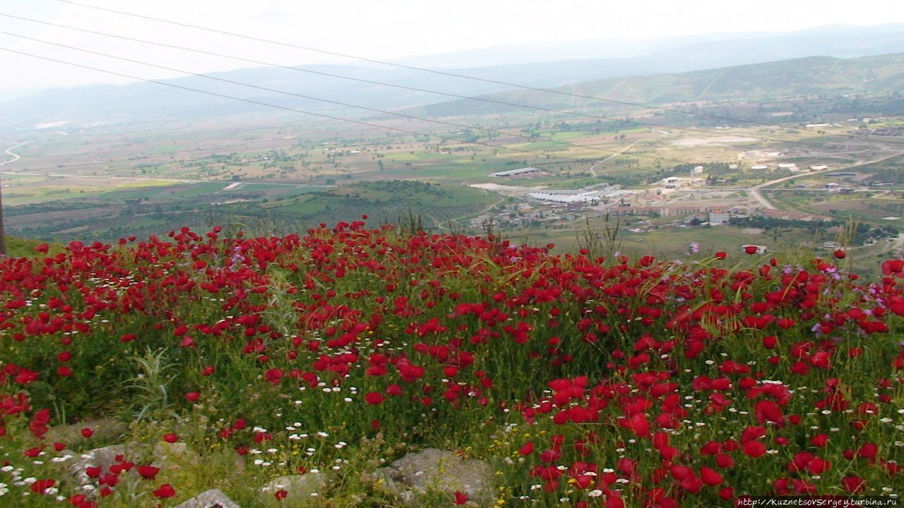 Пергам Бергама (Пергам) античный город, Турция