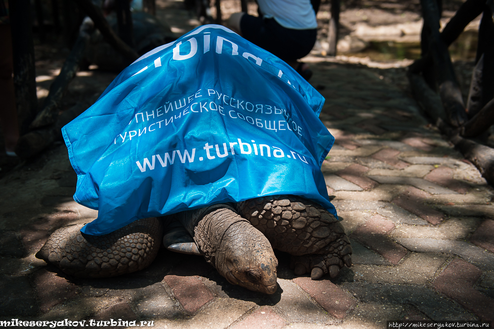 Занзибар. Остров - тюрьма Занзибар, Танзания