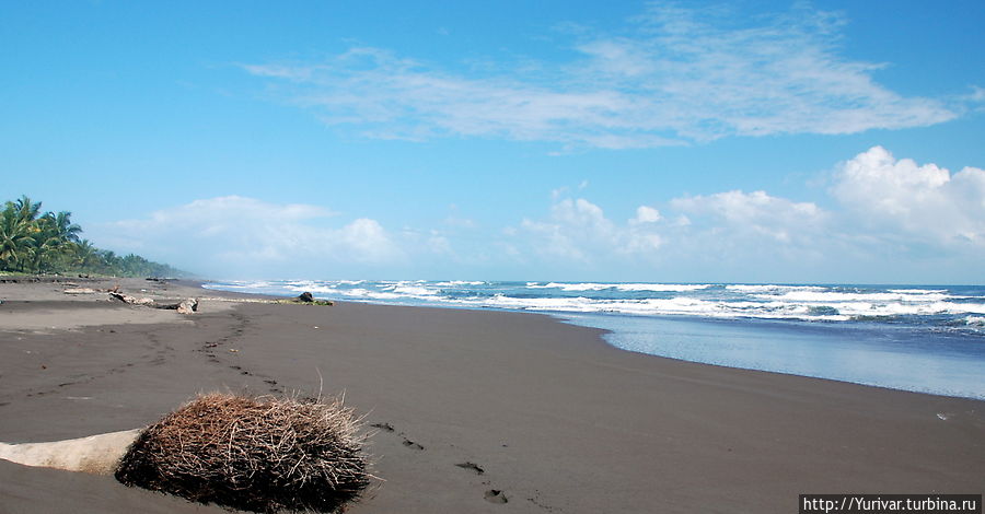 Сейчас январь, и поэтому берега пусты Тортугеро, Коста-Рика