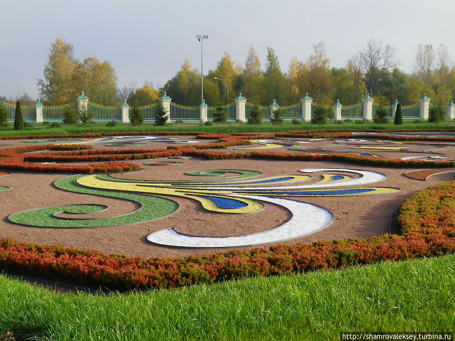 Ораниенбаум. Цветной орнамент партера Ломоносов, Россия