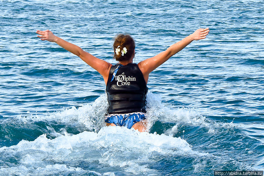 Два дельфина упираются носами в мои ноги сзади, поднимая меня над водой