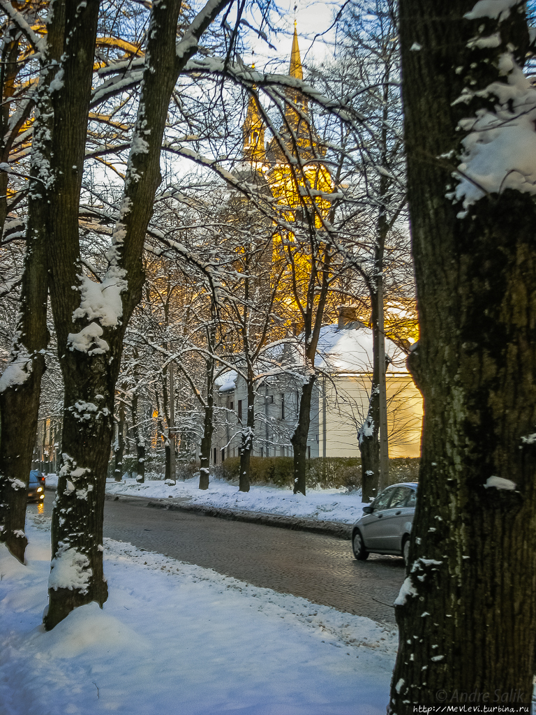 Мягкая зима Рига, Латвия