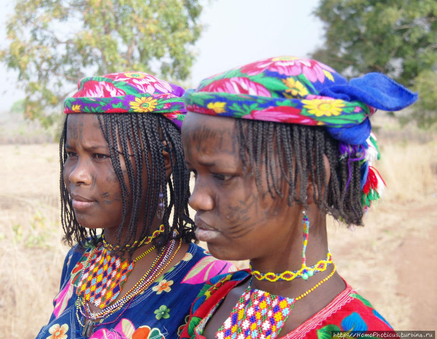 Первое знакомство с мбороро Бантадже, Камерун